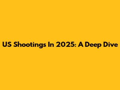 US Shootings In 2025: A Deep Dive