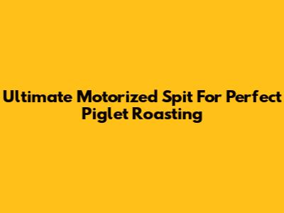 Ultimate Motorized Spit For Perfect Piglet Roasting