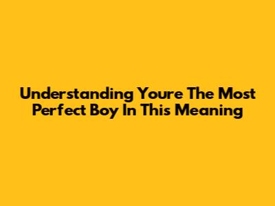 Understanding 'You're The Most Perfect Boy In This' Meaning