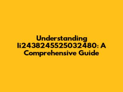 Understanding Ii2438245525032480: A Comprehensive Guide
