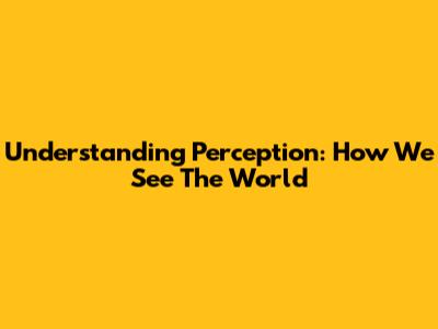 Understanding Perception: How We See The World