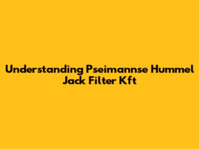 Understanding Pseimannse Hummel Jack Filter Kft