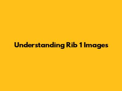 Understanding Rib 1 Images
