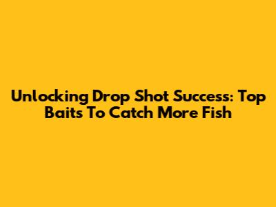 Unlocking Drop Shot Success: Top Baits To Catch More Fish