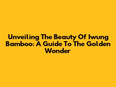 Unveiling The Beauty Of Iwung Bamboo: A Guide To The Golden Wonder