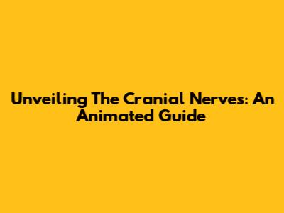 Unveiling The Cranial Nerves: An Animated Guide