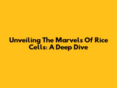 Unveiling The Marvels Of Rice Cells: A Deep Dive