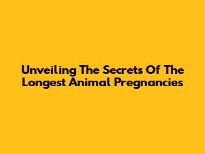 Unveiling The Secrets Of The Longest Animal Pregnancies