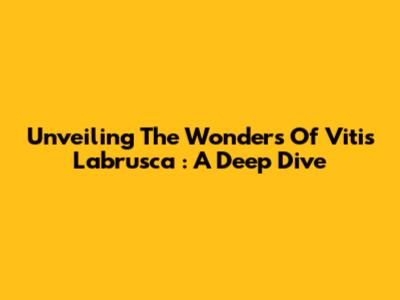 Unveiling The Wonders Of *Vitis Labrusca*: A Deep Dive