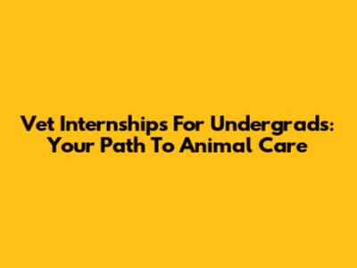Vet Internships For Undergrads: Your Path To Animal Care