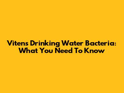 Vitens Drinking Water Bacteria: What You Need To Know