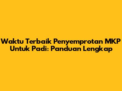 Waktu Terbaik Penyemprotan MKP Untuk Padi: Panduan Lengkap