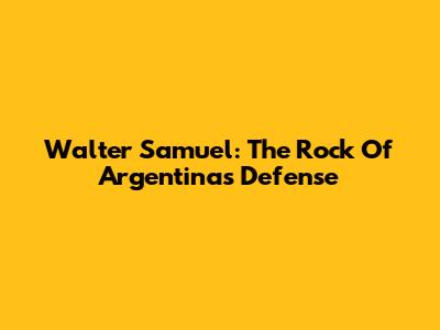 Walter Samuel: The Rock Of Argentina's Defense