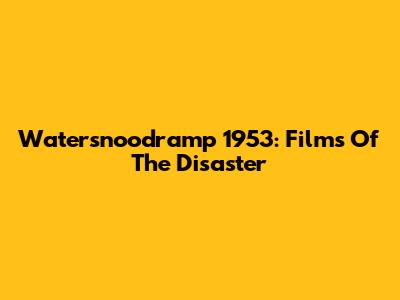 Watersnoodramp 1953: Films Of The Disaster