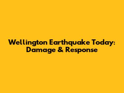 Wellington Earthquake Today: Damage & Response
