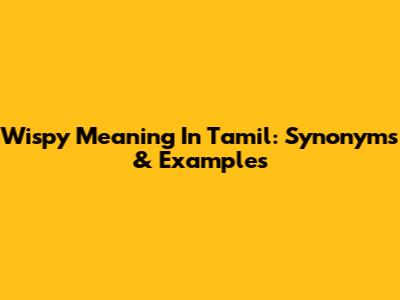Wispy Meaning In Tamil: Synonyms & Examples