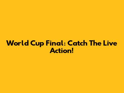 World Cup Final: Catch The Live Action!