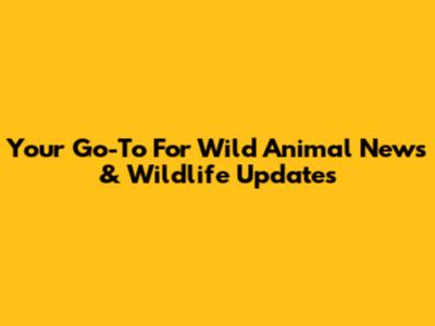 Your Go-To For Wild Animal News & Wildlife Updates