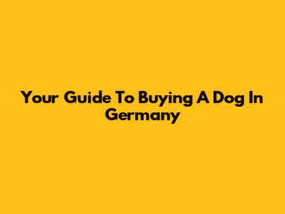 Your Guide To Buying A Dog In Germany