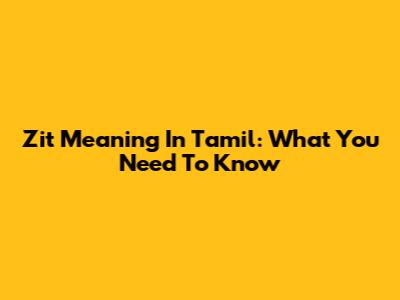 Zit Meaning In Tamil: What You Need To Know